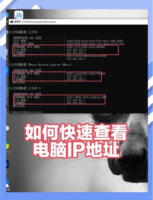 如何查询域名IP及位置信息?插图 如何查询域名IP及位置信息?插图