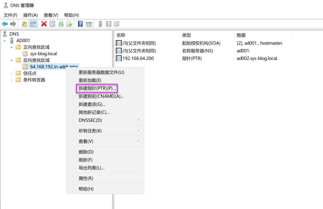 如何使用域名在Windows系统中进行查询插图