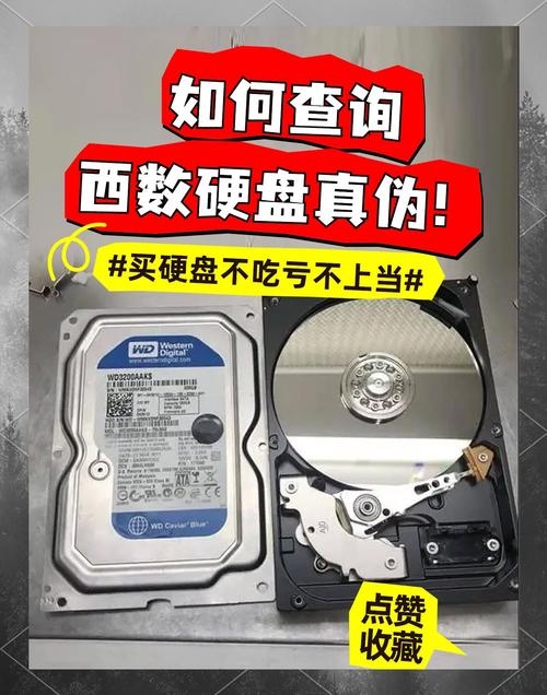 如何验证西部数码硬盘真伪的详细指南插图