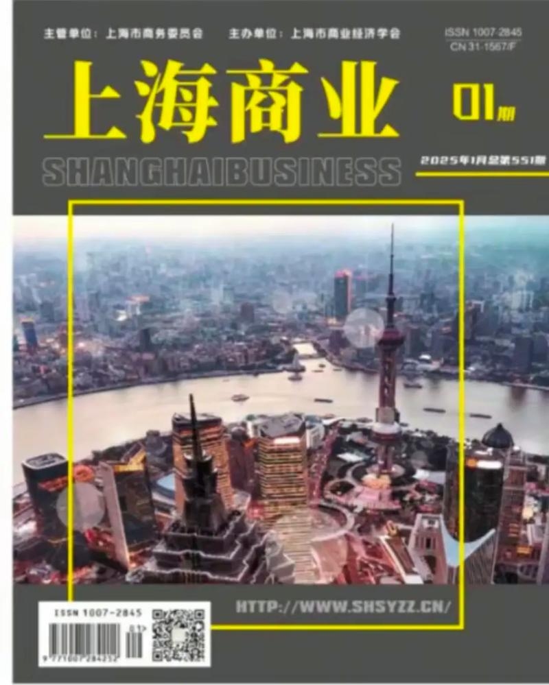 上海网站收录公司简介插图