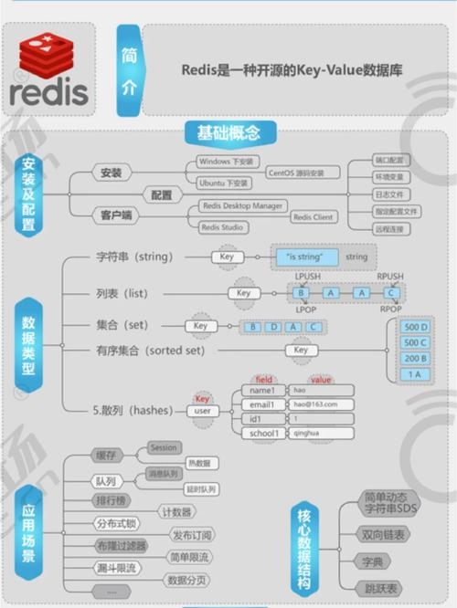 数据库包含哪些内容插图