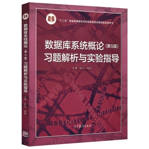 数据库系统概论第五版—王珊教授的独特视角与深度解析插图