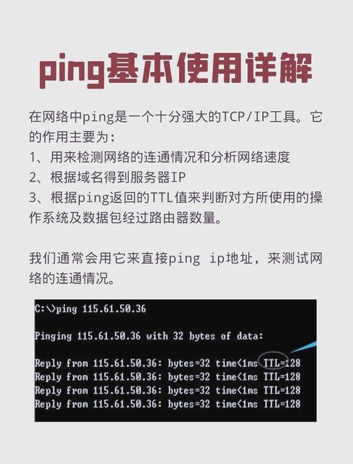 手机网络ping测试工具app的介绍与使用插图