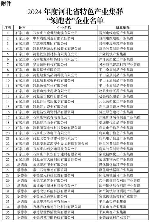 石家庄app开发公司排名及行业概览插图
