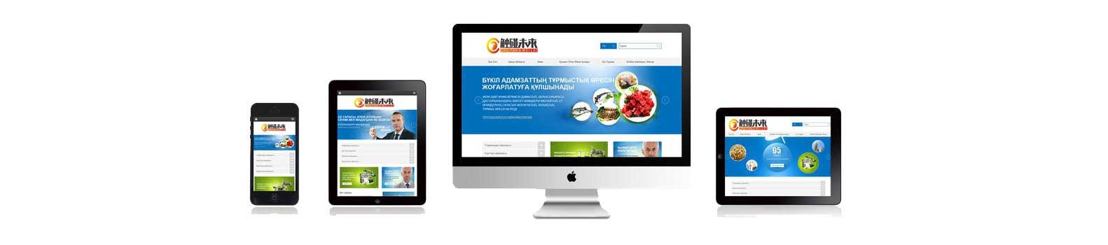 深圳市国外网站建设平台的崛起与发展插图