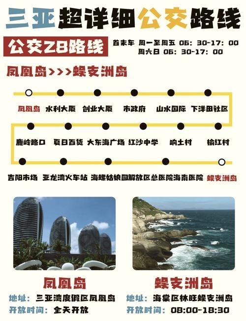 三亚公交科技与金融服务概览插图