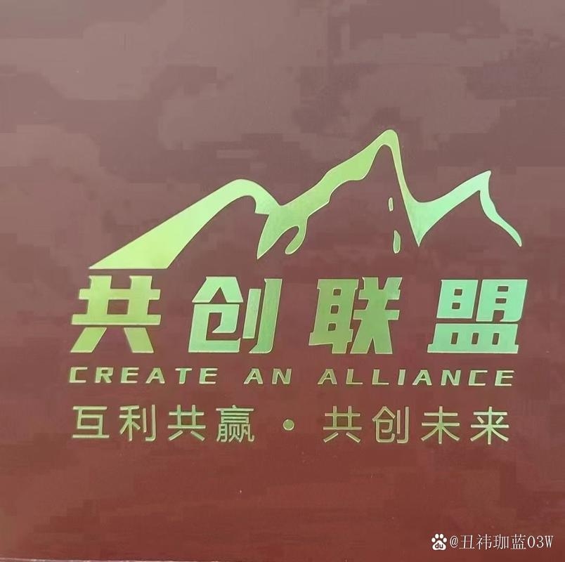 万网阿里合作共创未来插图