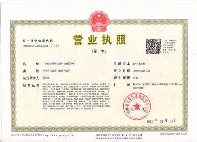 网络技术服务公司经营范围插图