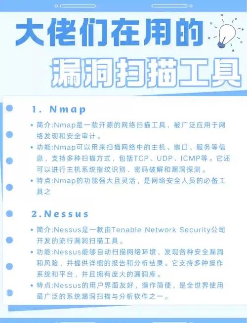 网站漏洞扫描工具，安全与隐私的双重保障插图