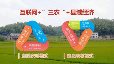 乡村电商与土地资源利用，农村创业项目，土特产线上销售及土地价值挖掘插图