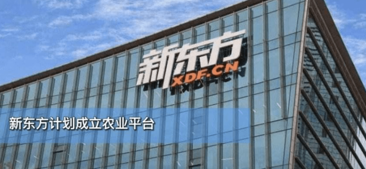 新东方直播带货火爆网络，探索转型与市场机遇插图