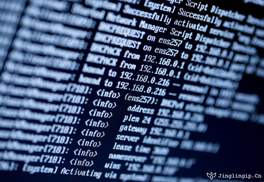 稳定换IP软件，网络环境下的高效工具插图