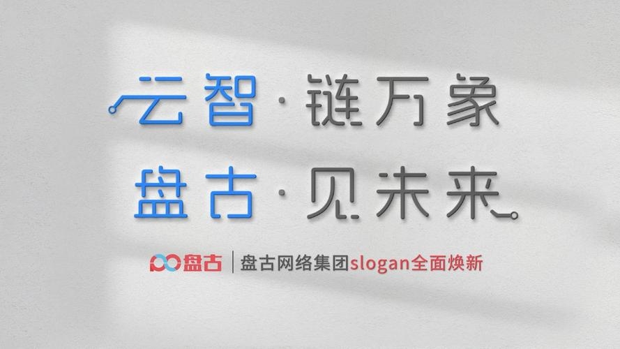 盘古网络公司简介插图