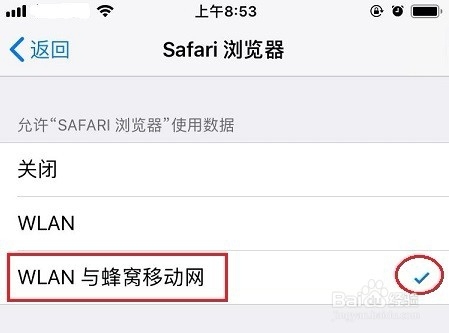 苹果Safari浏览器搜索问题解决方案插图