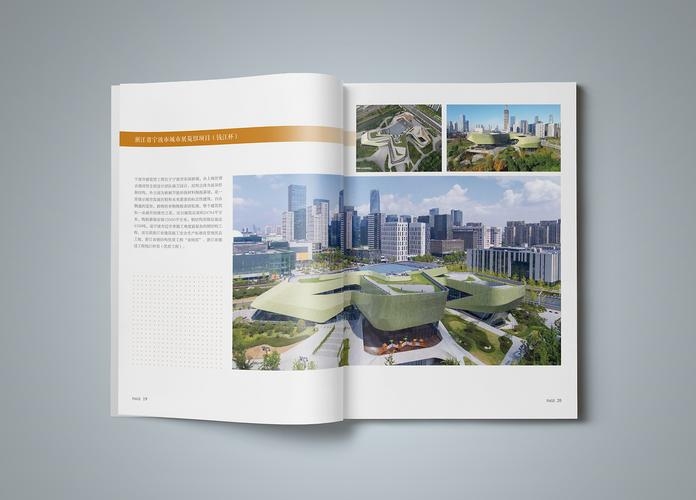 浙江网站建设与画册设计的融合艺术插图