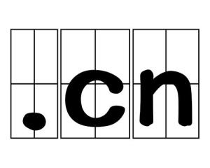 顶级域名cn，中国互联网的标识与未来插图