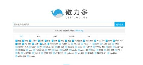 磁力链接搜索引擎解析及推荐插图