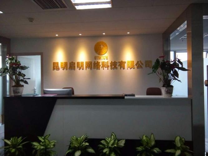 昆明互联网公司概览插图