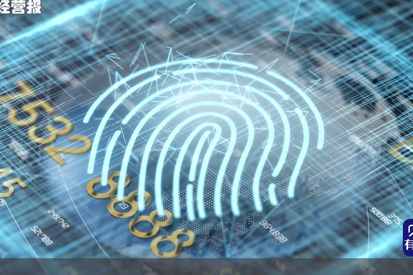 域名违法违规查询，守护网络安全的重要一环插图