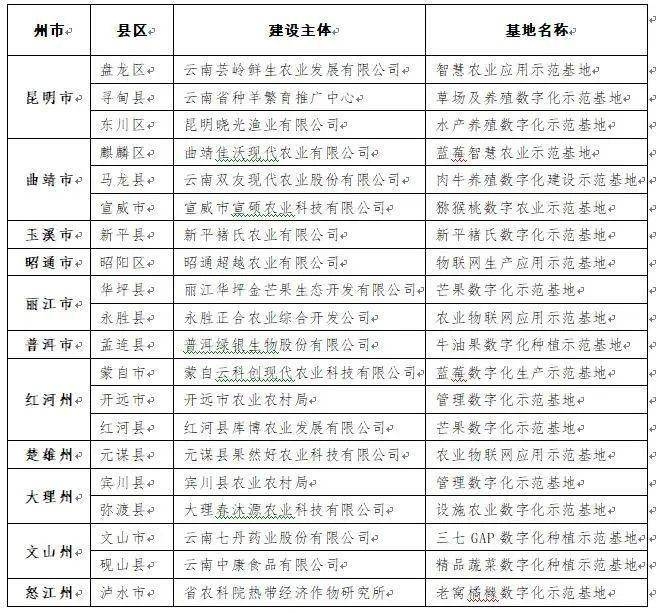 昆明领蓝网站建设公司，打造优质数字体验的专业力量插图