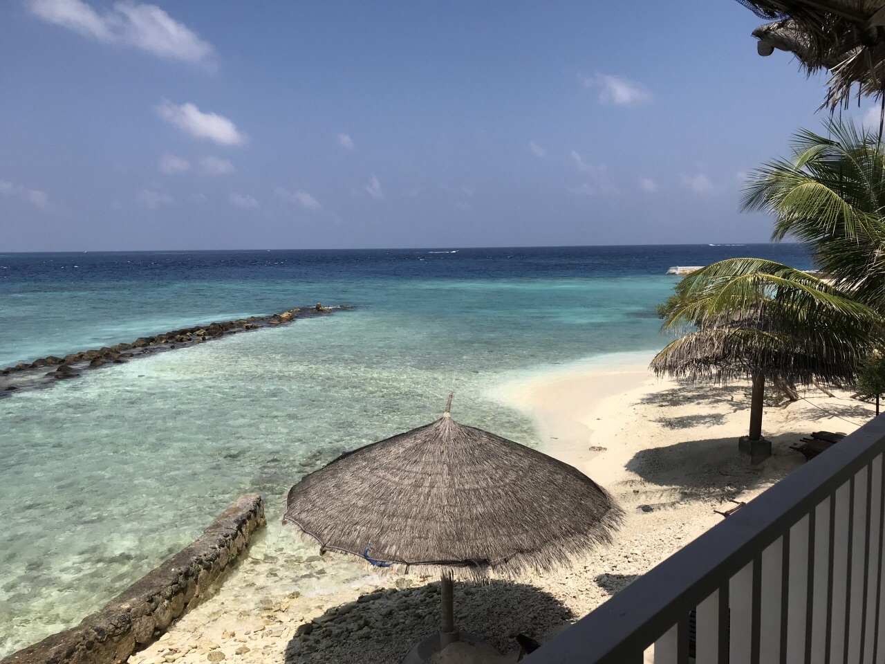 织梦岛，知乎上的梦幻之旅插图