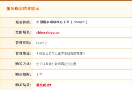 域名中的com与cn，商业域名的解析及跨境应用指南插图