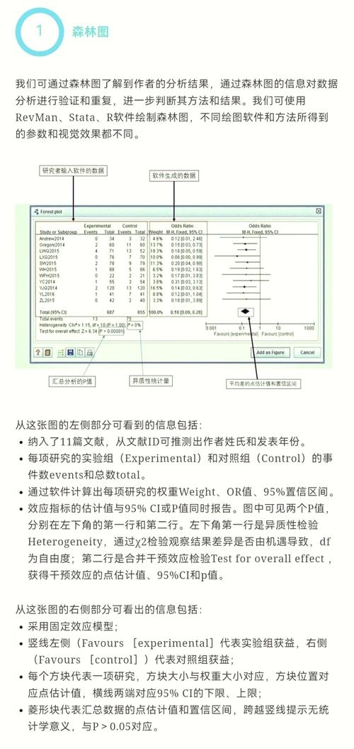 智能搜索引擎Metaso的特点与功能解析，无广告干扰，高效直达搜索结果页面插图