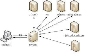 授权域名服务器，解析与管理的关键基础设施插图
