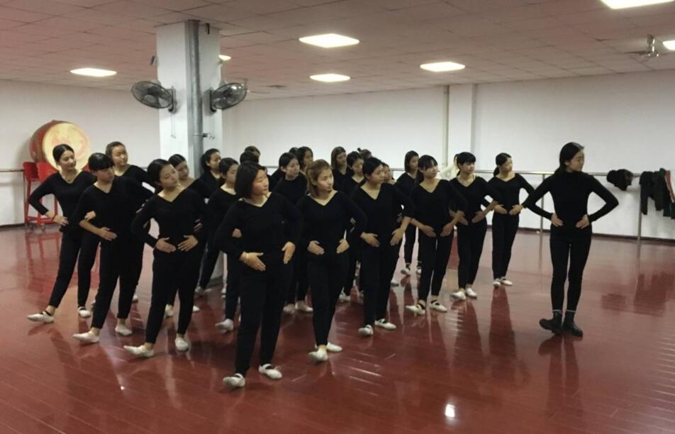 唐山网站建设与排名，舞蹈艺术生可报考高校概览插图