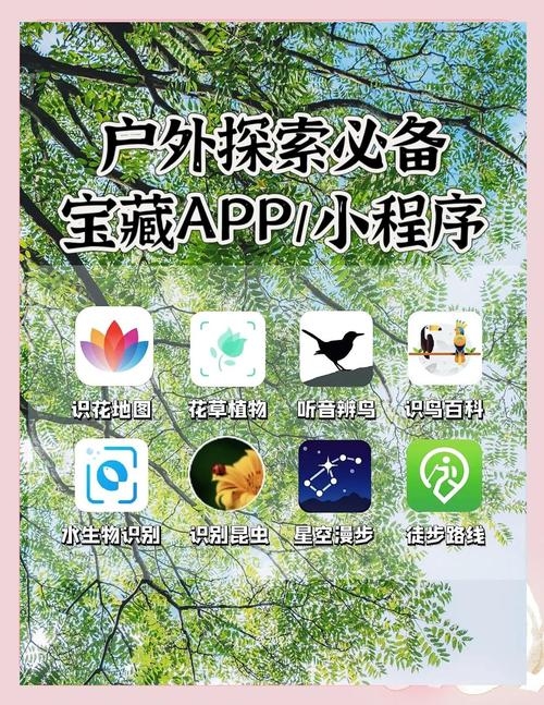 探索便宜的App制作方法插图 探索便宜的App制作方法插图