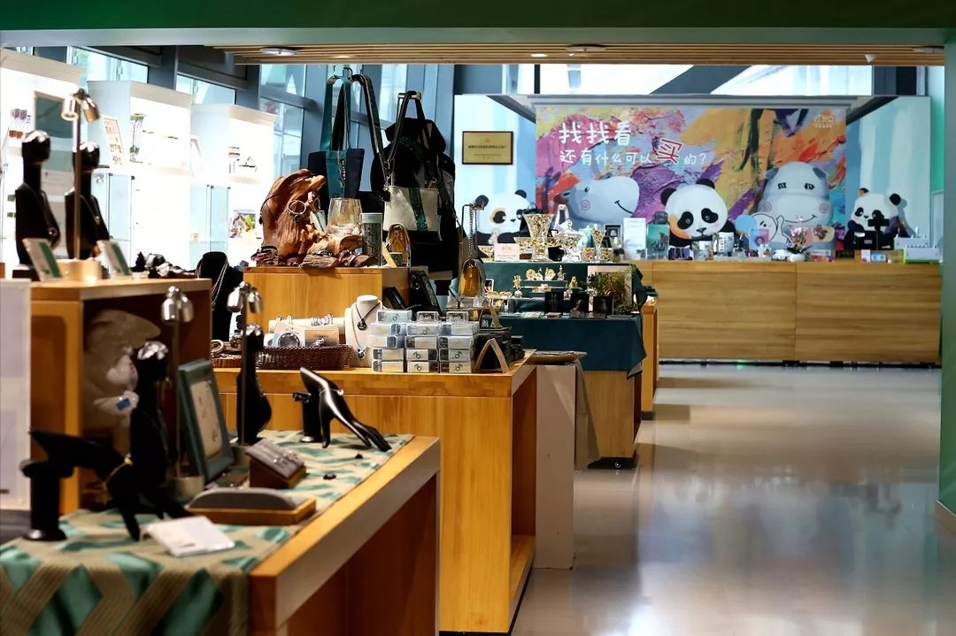 探索成都黑蚁设计公司的独特魅力 深度解读其官方网站插图