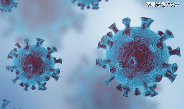 探索东莞求职新领域，2023年东莞找工作求职网站插图