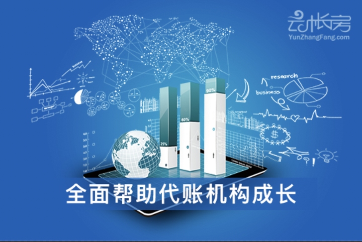 软件代做与账务处理，选择合作伙伴的关键考量插图