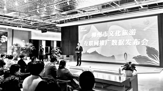 柳州互联网设计企业，创新与发展的力量插图