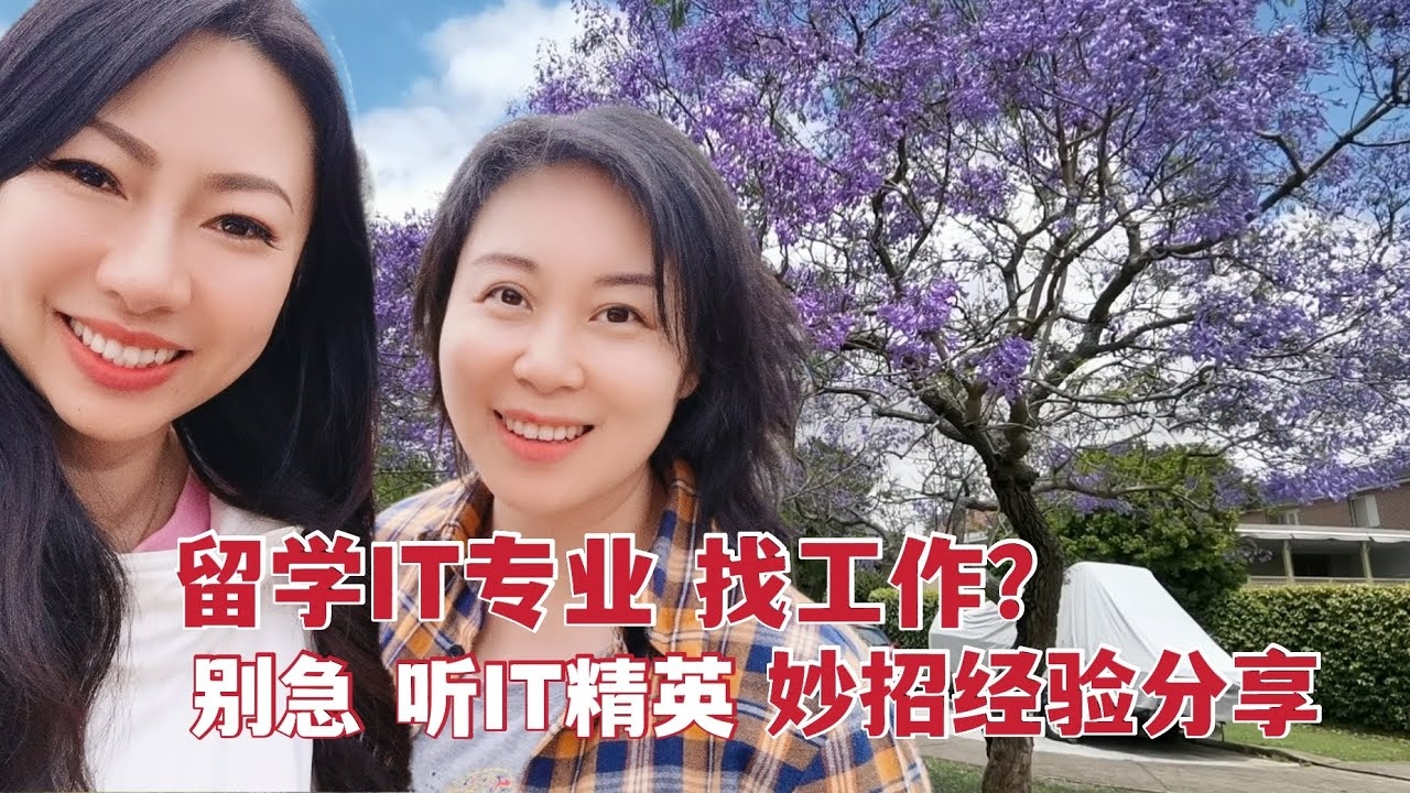 IT行业学历最低要求解析插图