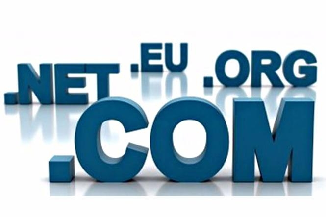 新域名介绍插图