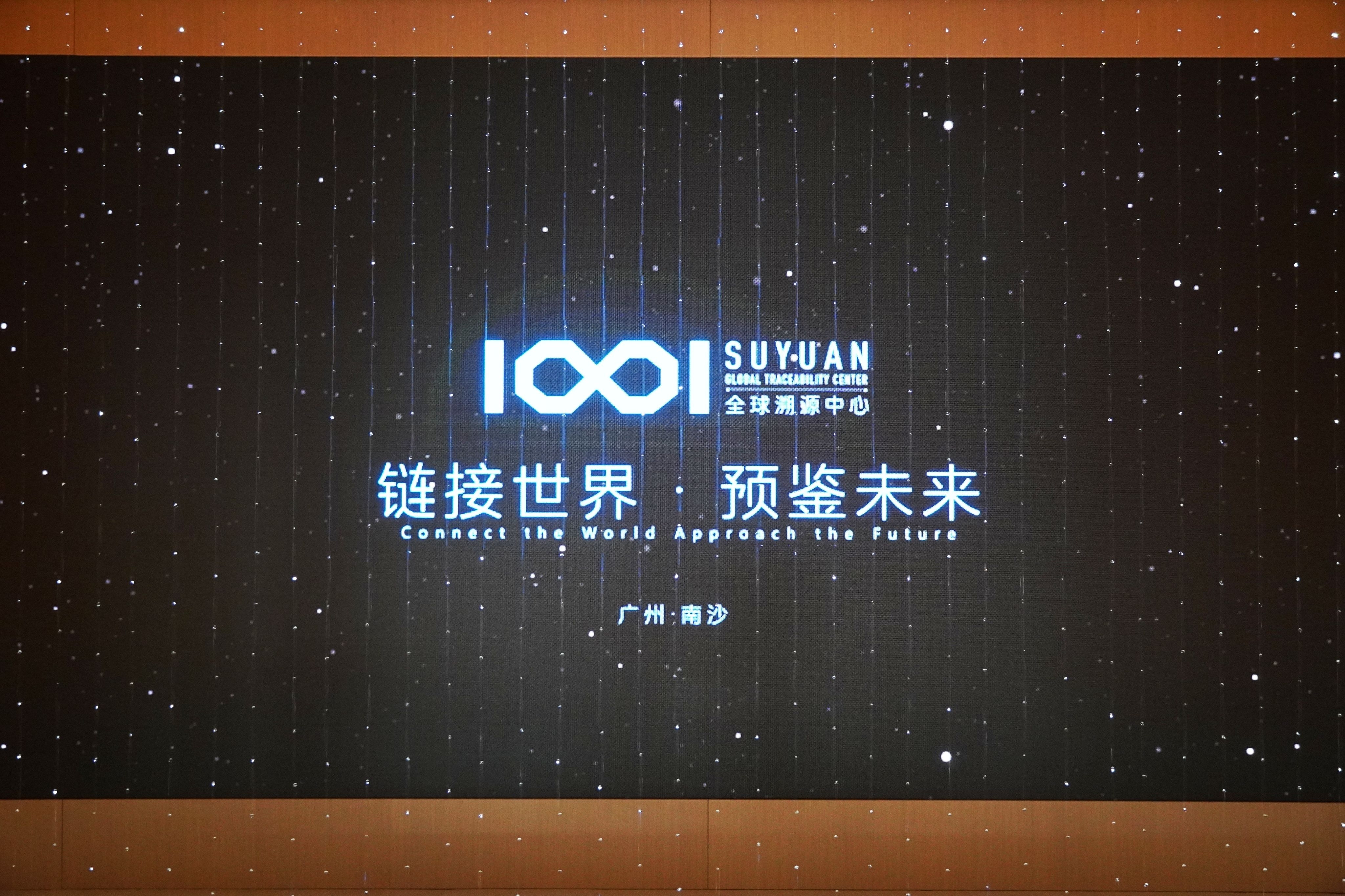 溯源码与公司网站，构建透明、可信的数字世界插图