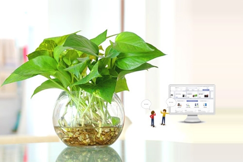 绿萝算法下的链接购买策略插图