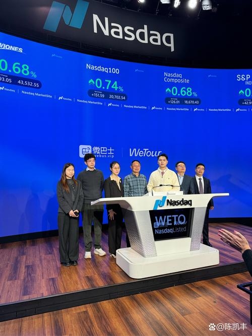 揭秘唯品会域名所有者的成功之路插图