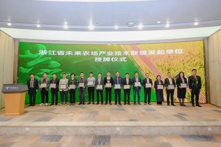 涿州网站建设公司，专业引领未来插图