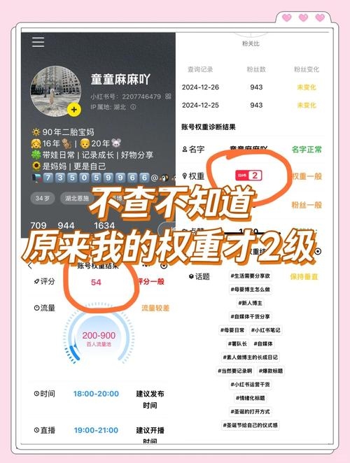 淘宝账号权重查询方法与查看店铺指南，官方体检中心与第三方网站检测介绍插图