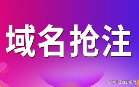 PW域名抢注的机遇与挑战插图