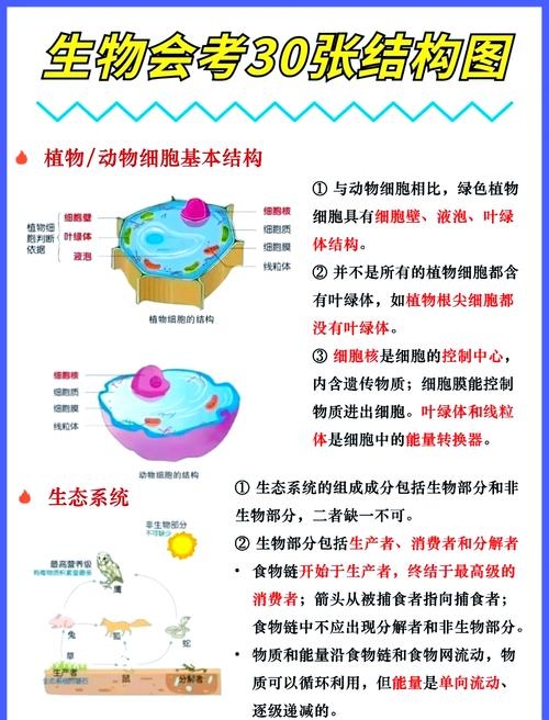 ASP生物化学，探索生命科学的奥秘插图
