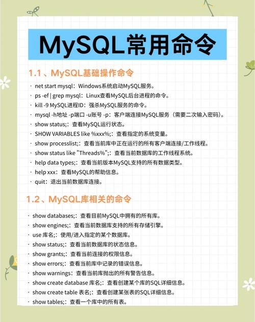 SQL数据更新命令的基本使用插图