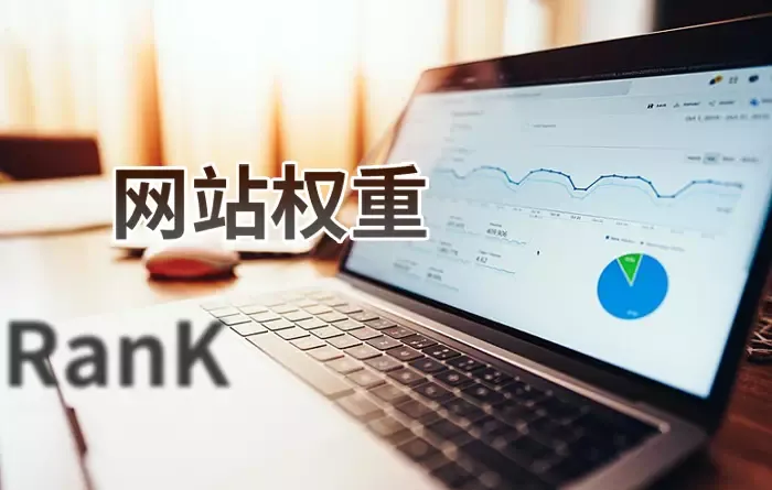 SEO推广，提升网站权重的重要性插图