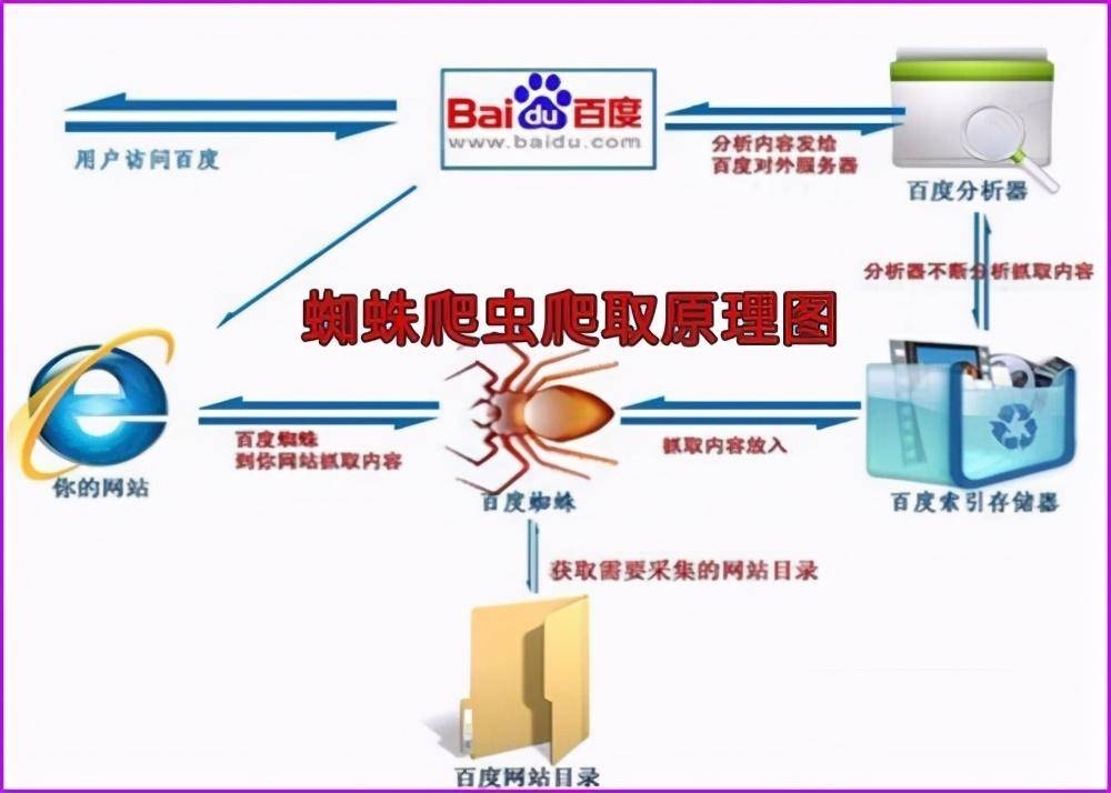 SEO外包服务公司在引流中的关键作用插图 SEO外包服务公司在引流中的关键作用插图