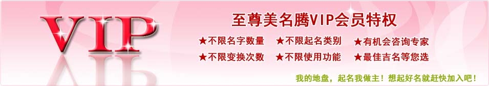 VIP网址一览，哪些网站的网址带有VIP元素？插图