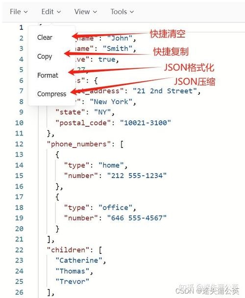 JSON格式化工具及插件使用指南，解决日期格式问题插图