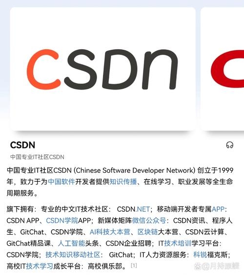 CSDN，开发者技术与职业成长平台插图