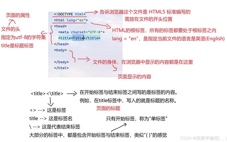 HTML基本结构介绍插图